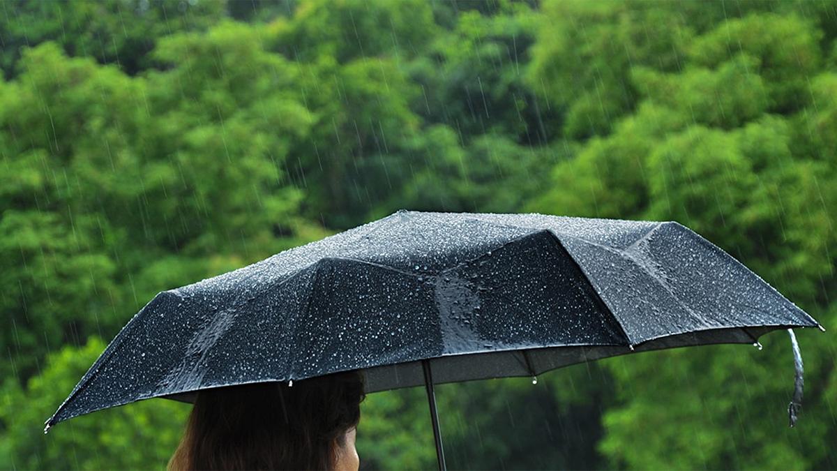 The Chances of Using Your Insurance, Part 1: Term Insurance