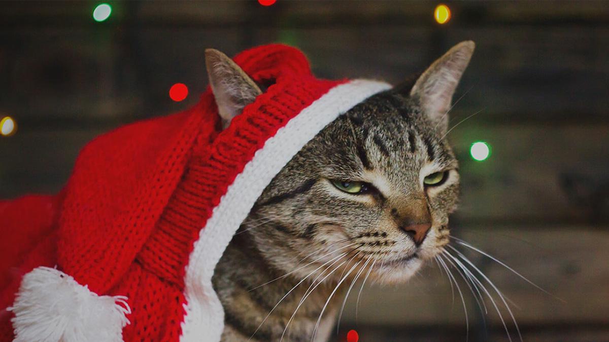 Let’s Stop Secret Santas Already