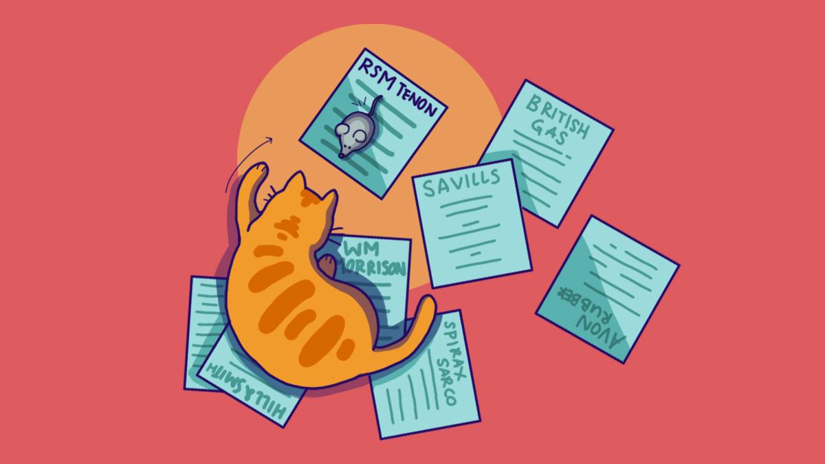 How a Cat Beat Investors